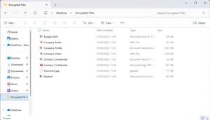 RG_Transparent-Encryption_Screenshot
